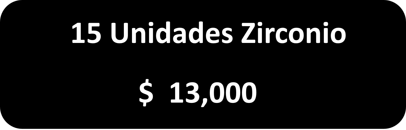 15 Unidades Zirconio