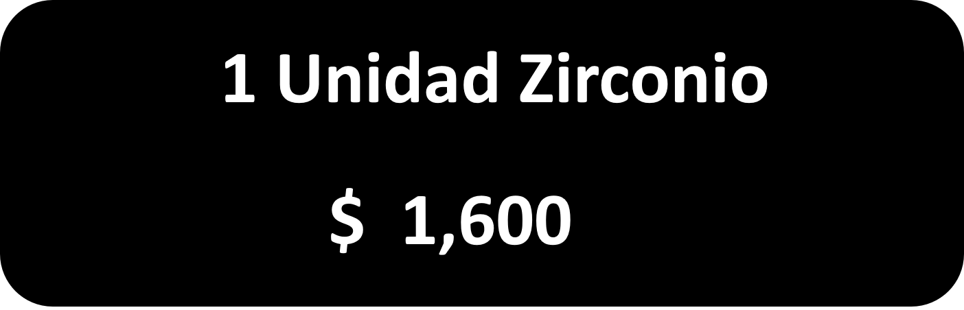 1 Unidad Zirconio